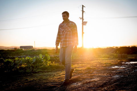 Phoenix Park Farm Gate - Sunshine Coast Tourism 2