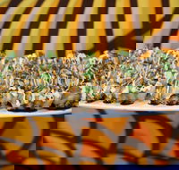 Sushi Hub Narellan - Sunshine Coast Tourism