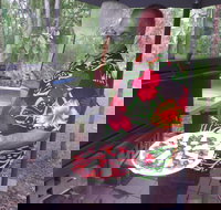 The Purple Mango Cafe - Sunshine Coast Tourism