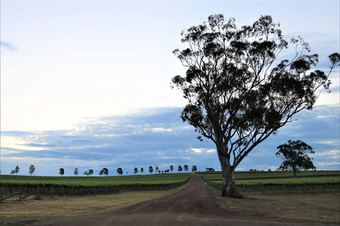 Two Rivers Wines - Holiday Sunshine Coast 1