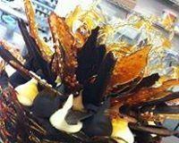 Timor VIC Sunshine Coast Tourism