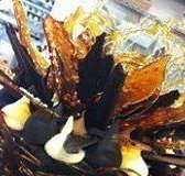 Daily Dose Cafe Wine Bar - Sunshine Coast Tourism