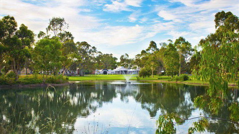 Serafino Restaurant - Holiday Sunshine Coast 7