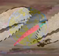 Buca 19 - Sunshine Coast Tourism