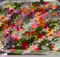 Cravin' Hall Cafe - Sunshine Coast Tourism