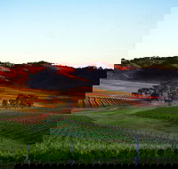 Dalwhinnie Wines - Sunshine Coast Tourism