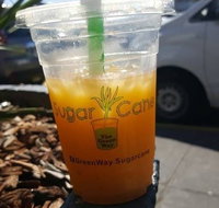 Monkey Cane - Sunshine Coast Tourism