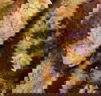 Silky Oak Espresso - Sunshine Coast Tourism