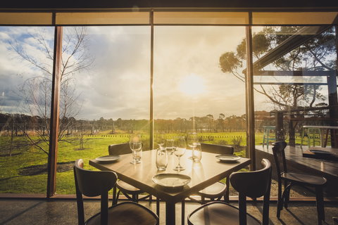 Stumpy Gully Vineyard - Sunshine Coast Tourism 1