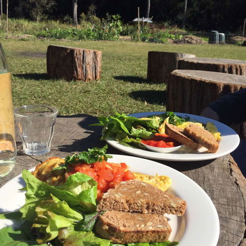 Sunspace Cafe - Holiday Sunshine Coast 0