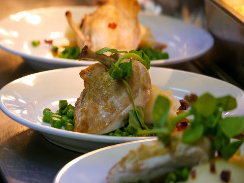 Griffith Exies Club - Holiday Sunshine Coast 1