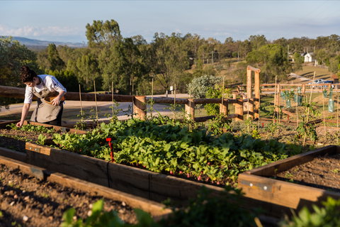 Homage - Holiday Sunshine Coast 0