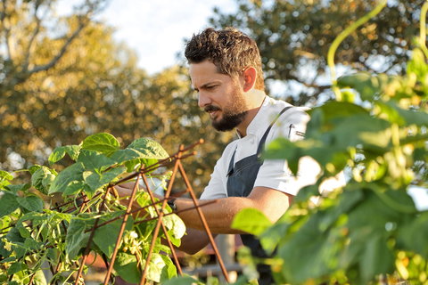 Homage - Holiday Sunshine Coast 1