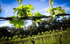Michael Unwin Wines - thumb 1