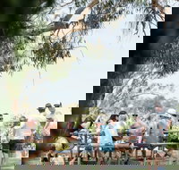 St Leonards Vineyard Caf - Sunshine Coast Tourism