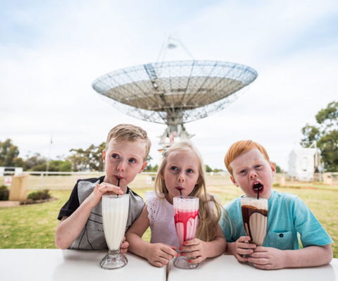 The Dish Cafe - Sunshine Coast Tourism 0