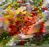 Thurlby Herb Farm Cafe - Sunshine Coast Tourism