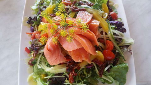 Thurlby Herb Farm Cafe - Sunshine Coast Tourism 0