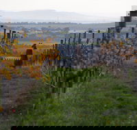 Barwon Ridge Wines - Sunshine Coast Tourism