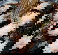 Bellezza Pizza - Sunshine Coast Tourism