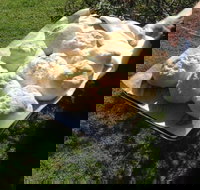 Moorland Cottage - Sunshine Coast Tourism