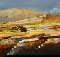 Optimiste Wines - Holiday Sunshine Coast