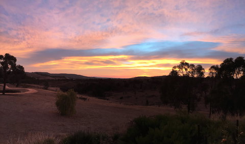 Peerick Vineyard And Winery - Sunshine Coast Tourism 1