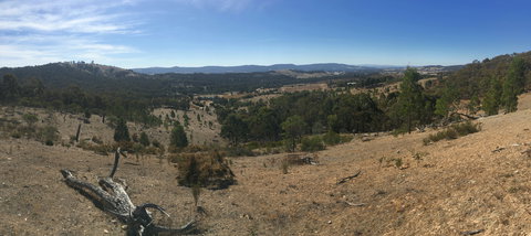 Peerick Vineyard And Winery - Sunshine Coast Tourism 2