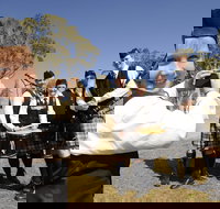 Peppermints Coffee Lounge - Sunshine Coast Tourism