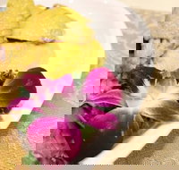 Asian Chef - Holiday Sunshine Coast