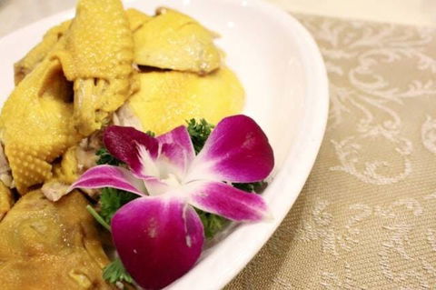 Asian Chef - Sunshine Coast Tourism 0
