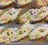 Cupcake Central - Hawthorn - Holiday Sunshine Coast