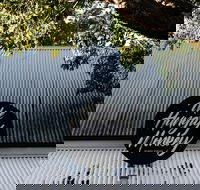 Hungry Monkey - Holiday Sunshine Coast
