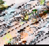 Malt - Sunshine Coast Tourism