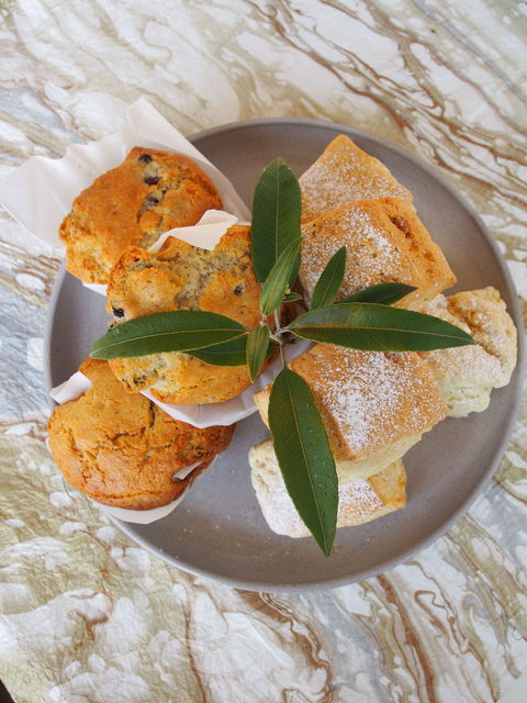 Paperbark Cafe At Kuranga Native Nursery - Sunshine Coast Tourism 1