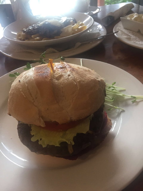 Scuttlebutt Cafe Restaurant - Sunshine Coast Tourism 0