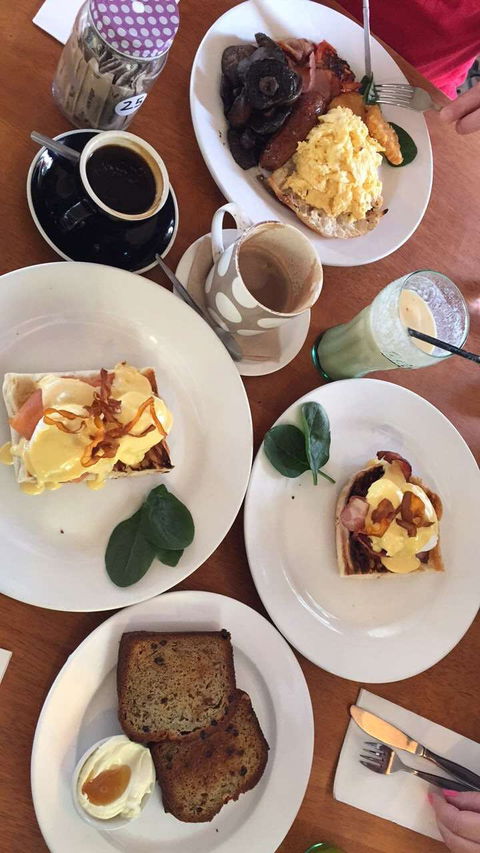 The Fig Tree - Holiday Sunshine Coast 0