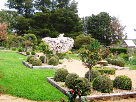 The Scented Rose Garden And Teahouse - Sunshine Coast Tourism 2