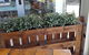 Tucker Road Coffee Merchants - thumb 0