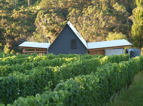 Two Bud Spur Vineyard - Sunshine Coast Tourism 0