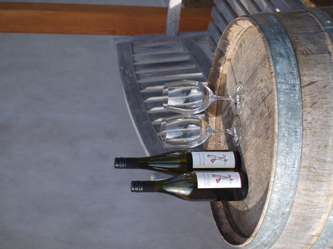 Two Bud Spur Vineyard - Sunshine Coast Tourism 1