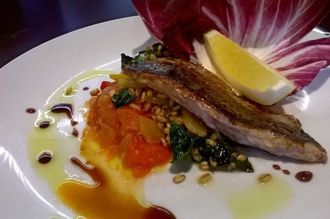 X74 - Holiday Sunshine Coast 0