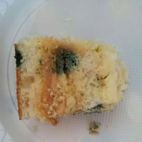Central Patisseries - Holiday Sunshine Coast 0
