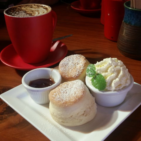 Idle In Cafe - Sunshine Coast Tourism 1