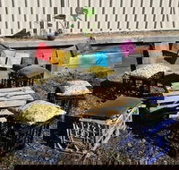 Killibinbin - Sunshine Coast Tourism