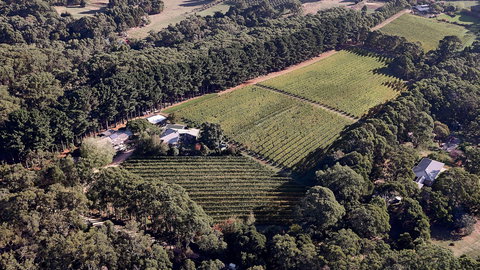 Main Ridge Estate - Holiday Sunshine Coast 1