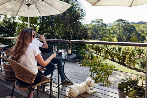 Main Ridge Estate - Holiday Sunshine Coast 2