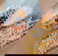 The Greekery - Sunshine Coast Tourism