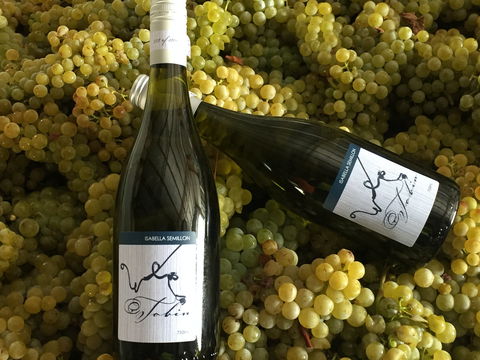 Tobin Wines - Sunshine Coast Tourism 2