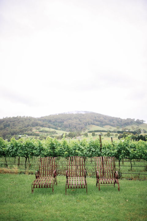 Two Figs Winery - Sunshine Coast Tourism 2